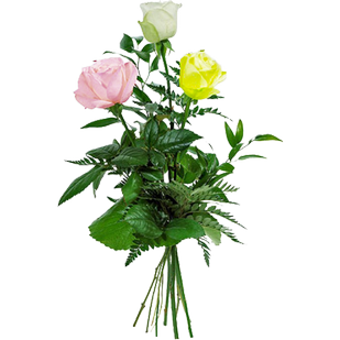 Букет из трех разноцветных роз